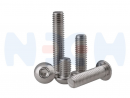 thumbnail_Button_HEX_Screw-many-nem1497896188594814fcafce2.png
